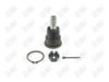 BA005 - BAW, ROTULA DELANTERO INFERIOR - Delantero Inferior - 40160-50A00 -  -  - 40160-50A00 -  - 60-724 -  - K90434 - Infiniti G20 1991-1996 // Nissan Almera 2001-2005 // Nissan Altima 1993-1997 // Nissan NX 1987-1990 // Nissan Pulsar 1987-1990 // Nissan Sentra 1986-1990 // Nissan Sentra 2000-2006 // Nissan Tsuru 1988-1991 // Renault Scala 2010-2013