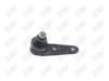 BA014-1 BA014 - BAW, ROTULA DELANTERO INFERIOR - Delantero Inferior - 823-407-365-E - - - 823407365-E - - - - K9079 - Audi 4000 1980-1983 // Audi Coupe 1981-1983 // Audi Fox 1978-1979 // Volkswagen Corsar 1984-1989