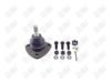 BA079-1 BA079 - BAW, ROTULA DELANTERO SUPERIOR - Delantero Superior - K-6034 - - - K-6034 - - - - K6034 - Chevrolet Bel Air 1955-1970 // Chevrolet Biscayne 1958-1970 // Chevrolet Caprice 1966-1970 // Chevrolet Corvette 1963-1982 // Chevrolet Impala 1958-1970