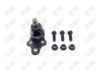 BA087 - BAW, ROTULA DELANTERO INFERIOR - Delantero Inferior - 1003011 -  -  - 2772008 -  -  -  -  - Chevrolet Epica 2006-2011