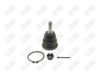 BA091-1 BA091 - BAW, ROTULA DELANTERO INFERIOR - Delantero Inferior - 1006018 - - - 3072012 - - 30-289 - - K500082 - Chrysler Town & Country 2008-2016 // Dodge Grand Caravan 2008-2020 // Volkswagen Routan 2009-2014