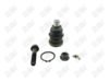BA093-1 BA093 - BAW, ROTULA DELANTERO INFERIOR - Delantero Inferior - K-7125 - - - K-7125 - - 30-307 - - K7125 - Chrysler Daytona 1984-1990 // Chrysler Grand Voyager 1984-1990 // Chrysler Laser 1984-1986 // Chrysler LeBaron 1984-1990 // Chrysler New Yorker 1984-1988 // Chrysler Phantom 1989-1990 // Chrysler PT Cruiser 2001-2010 // Chrysler Town & Country 1984-1990 // Chrysler Voyager 1984-1990 // Dodge Aries 1984-1989 // Dodge Caravan 1984-1990 // Dodge Charger 1984-1987 // Dodge Daytona 1984-1990 // Dodge Grand Caravan 1988-1990 // Dodge Lancer 1985-1989 // Dodge Neon 2000-2005 // Dodge Omni 1984-1990 // Dodge Shadow 1987-1990 // Dodge Spirit 1989-1990 // Plymouth Acclaim 1989-1990 // Plymouth Caravelle 1985-1988 // Plymouth Horizon 1984-1990 // Plymouth Sundance 1987-1990