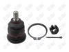 BA104-1 BA104 - BAW, ROTULA DELANTERO SUPERIOR - Delantero Superior - 1016003 - - - 40110-VJ200 - - - - K90663 - Nissan Frontier 1998-2004 // Nissan NP300 Pickup 2009-2014 // Nissan Xterra 2000-2004