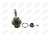 BA184-1 BA184 - BAW, ROTULA DELANTERO INFERIOR - Delantero Inferior - 1008036 - 1008017 - - 4072036 - - 10-338 - - K500008 - Ford Expedition 2007-2017 // Ford F150 2009-2014 // Lincoln Navigator 2007-2017