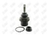 BA199-1 BA199 - BAW, ROTULA DELANTERO INFERIOR - Delantero Inferior - 1008030 - - - 4072035 - - 10-775 - - K500193 - Ford F150 SVT Raptor 2010-2014