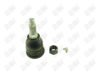 BA200-1 BA200 - BAW, ROTULA DELANTERO - Delantero - 1008021 - - - 4072004 - - 10-324 - - K500262 - Ford F250 2005-2022 // Ford F350 2005-2022 // Ford F450 2005-2022 // Ford F550 2005-2022
