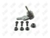 BA203 - BAW, ROTULA DELANTERO INFERIOR - Delantero Inferior - 1008018 -  -  - 4072006 -  - 10-339 -  - K500393 - Ford Focus 2008-2011 // Volvo C30 2007-2010 // Volvo C70 2006-2013 // Volvo S40 2006-2011 // Volvo V50 2006-2011