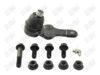 BA204-1 BA204 - BAW, ROTULA DELANTERO INFERIOR - Delantero Inferior - 1008023 - - - 4072020 - - 10-341 - - K80992 - Ford Focus 2004-2011