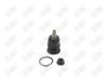 BA205-1 BA205 - BAW, ROTULA DELANTERO SUPERIOR - Delantero Superior - 1008005 - - - 4072009 - - 10-375 - - K500039 - Ford Fusion 2006-2012 // Lincoln MKZ 2007-2012 // Lincoln Zephyr 2006-2006 // Mazda 6 2003-2013 // Mercury Milan 2006-2011