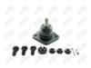 BA207 - BAW, ROTULA DELANTERO SUPERIOR - Delantero Superior - K-8242 -  -  - K-8242 -  -  -  - K8242 - Ford Granada 1975-1980