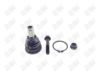 BA212 - BAW, ROTULA DELANTERO INFERIOR - Delantero Inferior - 1008028 -  -  - 4072033 -  - 10-781 -  - K500313 - Ford Mustang 2010-2014