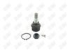 BA215-1 BA215 - BAW, ROTULA DELANTERO INFERIOR - Delantero Inferior - K-8673 - K-8413 - - K-8673 - K-8411 - 10-352 - - K8411 - Ford Bronco II 1984-1990 // Ford Explorer 1991-1994 // Ford F100 1981-1982 // Ford Ranger 1983-1997 // Mazda B2300 1994-1997 // Mazda B3000 1994-1996 // Mazda B4000 1994-1997 // Mazda Navajo 1991-1994