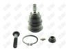 BA217-1 BA217 - BAW, ROTULA DELANTERO SUPERIOR - Delantero Superior - K-8738 - - - K-8738 - - 10-394 - - K8738 - Ford Ranger 1998-2011 // Mazda B2300 2001-2009 // Mazda B2500 1998-2001 // Mazda B3000 1998-2007 // Mazda B4000 1998-2003