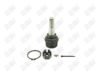 BA224-1 BA224 - BAW, ROTULA DELANTERO SUPERIOR - Delantero Superior - K-8412 - - - K-8412 - - 10-389 - - K8412T - Ford Bronco II 1984-1990 // Ford Explorer 1991-1994 // Ford F100 1981-1983 // Ford F150 1981-1986 // Ford Ranger 1983-1997
