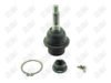 BA226 - BAW, ROTULA DELANTERO INFERIOR - Delantero Inferior - 1008002 -  -  - 4072003 -  - 10-332 -  - K500060 - Ford Expedition 2003-2006 // Ford F150 2004-2008 // Ford FX4 2004-2008 // Ford Lobo 2004-2008 // Lincoln Mark LT 2006-2008 // Lincoln Navigator 2003-2006