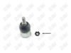 BA264 - BAW, ROTULA DELANTERO INFERIOR - Delantero Inferior - 1009010 -  -  - 5072001 -  - 60-039 -  - K500081 - Acura TL 2009-2014 // Acura TSX 2009-2014 // Honda Accord 2008-2012 // Honda Accord Crosstour 2010-2014