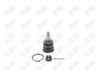 BA265 - BAW, ROTULA DELANTERO INFERIOR - Delantero Inferior - 1009014 -  -  - 5072016 -  - 61-681 -  - K500315 - Acura TLX 2015-2020 // Honda Accord 2013-2017