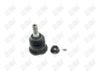 BA317 - BAW, ROTULA DELANTERO SUPERIOR - Delantero Superior - 1006028 -  -  - 3072028 -  - 30-321 -  - K500285 - Dodge Durango 2011-2015 // Jeep Grand Cherokee 2011-2015