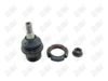 BA392 - BAW, ROTULA DELANTERO INFERIOR - Delantero Inferior - 1014007 -  -  - 6172006 -  - 40-040 -  - K500005 - Mercedes-Benz M Class 1998-2005