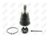 BA402-1 BA402 - BAW, ROTULA DELANTERO INFERIOR - Delantero Inferior - 40160-41U00 - - - 40160-41U00 - - 61-082 - - K9818 - Infiniti I30 1996-1999 // Nissan Maxima 1995-1999