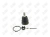 BA405-1 BA405 - BAW, ROTULA DELANTERO SUPERIOR - Delantero Superior - 1016010 - - - 6772006 - - 60-087 - - K80660 - Nissan Frontier 2005-2024 // Nissan NP300 Frontier 2016-2021 // Nissan NP300 Pickup 2015-2021 // Nissan Pathfinder 2005-2012 // Nissan Xterra 2005-2015