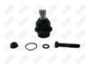 BA409 - BAW, ROTULA DELANTERO INFERIOR - Delantero Inferior - 1016008 -  -  - 6772005 -  - 60-085 -  - K80647 - Infiniti QX56 2004-2010 // Nissan Armada 2004-2015 // Nissan Frontier 2005-2024 // Nissan Pathfinder 2005-2012 // Nissan Titan 2004-2015 // Nissan Xterra 2005-2015