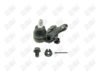 BA461-1 BA461 - BAW, ROTULA DELANTERO INFERIOR (R) - Delantero Inferior Derecha - 1025006 - - - K-90347 - - 60-098 - - K90347 - Toyota Camry 2002-2006 // Toyota Highlander 2001-2007 // Toyota Sienna 2004-2010 // Toyota Solara 2004-2008