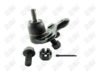 BA465-1 BA465 - BAW, ROTULA DELANTERO INFERIOR - Delantero Inferior - 1025003 - - - K-90309 - - 60-095 - - K90309 - Toyota Celica 2000-2005 // Toyota Corolla 1996-2008 // Toyota RAV4 2001-2005 // Toyota Corolla 2020-2022 // Toyota Prius 2016-2022