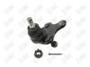 BA487 - BAW, ROTULA DELANTERO INFERIOR - Delantero Inferior - 1025031 - 1025021 -  - 8772011 - 8772037 - 60-110 -  - K500062 - Lexus ES250 2022-2024 // Lexus ES300h 2022-2024 // Lexus ES350 2022-2024 // Lexus UX250h 2023-2024 // Toyota C-HR 2018-2020 // Toyota Camry 2018-2024 // Toyota RAV4 2006-2018 //
