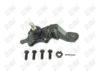 BA490-1 BA490 - BAW, ROTULA DELANTERO INFERIOR (L) - Delantero Inferior Izquierda - 2510005 - - - 8772005 - - 60-711 - - K90258 - Toyota Tacoma 1995-2022