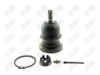 BA491-1 BA491 - BAW, ROTULA DELANTERO SUPERIOR - Delantero Superior - 1025023 - 1025015 - - 8772016 - 8772024 - 60-112 - - K80811 - Toyota Hilux 2006-2023 // Toyota Tacoma 2005-2020