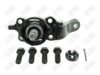 BA500 - BAW, ROTULA DELANTERO INFERIOR (R) - Delantero Inferior Derecha - 1025020 -  -  - 8772018 -  - 60-109 -  - K500434 - Toyota Sequoia 2004-2007 // Toyota Tundra 2004-2006