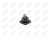 BA545-1 BA545 - BAW, ROTULA DELANTERO INFERIOR - Delantero Inferior - 171-407-365-G - - - 171407365-G - - - - - Volkswagen Atlantic 1977-1987 // Volkswagen Caribe 1977-1987 // Volkswagen Jetta 1980-1984 // Volkswagen Rabbit 1978-1984 // Volkswagen Rabbit Pickup 1980-1983