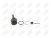 BA552-1 BA552 - BAW, ROTULA TRASERO SUPERIOR - Trasero Superior - K-9736 - - - K-9736 - - 61-058 - - K9736 - Honda Accord 1986-1989