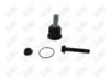 BA640-1 BA640 - BAW, ROTULA DELANTERO INFERIOR - Delantero Inferior - 1007004 - - - 3772002 - - 40-703 - - - Fiat 500 2012-2019