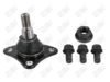 BA682-1 BA682 - BAW, ROTULA DELANTERO INFERIOR - Delantero Inferior - 1007003 - - - 7072005 - - 40-032 - - K500310 - Fiat Ducato 2008-2022 // Peugeot Manager 2009-2022 // Ram ProMaster 2014-2022