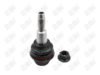 BA695-1 BA695 - BAW, ROTULA DELANTERO INFERIOR - Delantero Inferior - 1003025 - - - 2772027 - - 20-755 - - K500408 - Cadillac Escalade 2017-2020 // Chevrolet Cheyenne 2017-2018 // Chevrolet Silverado 1500 2017-2018 // Chevrolet Suburban 2017-2020 // Chevrolet Tahoe 2017-2020 // GMC Sierra 1500 2017-2018 // GMC Yukon 2017-2020
