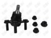 BA697 - BAW, ROTULA DELANTERO INFERIOR (R) - Delantero Inferior Derecha - 1026006 - 1026004 -  - 9372004 - 1K0407366-E - 40-057 -  - K500030 - Audi A1 2019-2024 // Audi A3 2004-2024 // Audi Q2 2017-2023 // Audi Q3 2013-2023 // Audi RS3 2022-2024 // Audi S3 2015-2024 // Seat Altea 2006-2015 // Seat Arona 2018-2022 // Seat  Ateca 2017-2021 // Seat Ibiza 2018-2022 // Seat León 2006-2021 // Seat Toledo 2006-2012 // Volkswagen Beetle 2012-2019 // Volkswagen Bora 2006-2010 // Volkswagen Caddy 2014-2020 // Volkswagen Golf A5 2006-2009 // Volkswagen Golf A6 2010-2012 // Volkswagen Golf A7 2013-2021 // Volkswagen GTI 2024-2024 // Volkswagen Jetta A5 2006-2010 // Volkswagen Jetta A6 2010-2014 // Volkswagen Jetta A7 2015-2018 // Volkswagen Jetta A8 2019-2024 // Volkswagen Nivus 2021-2024 // Volkswagen Passat 2006-2022 // Volkswagen Passat CC 2008-2015 // Volkswagen T-Cross 2019-2024 // Volkswagen Taigun 2023-2024 // Volkswagen Taos 2021-2024 // Volkswagen Tiguan 2009-2024 // Volkswagen Virtus 2019-2024