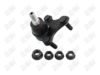 BA698-1 BA698 - BAW, ROTULA DELANTERO INFERIOR (L) - Delantero Inferior Izquierda - 1026007 - 1026003 - - 9372003 - 1K0407365-E - 40-056 - - K500016 - Audi A1 2019-2024 // Audi A3 2004-2024 // Audi Q2 2017-2023 // Audi Q3 2013-2023 // Audi RS3 2022-2024 // Audi S3 2015-2024 // Seat Altea 2006-2015 // Seat Arona 2018-2022 // Seat Ateca 2017-2021 // Seat Ibiza 2018-2022 // Seat León 2006-2021 // Seat Toledo 2006-2012 // Volkswagen Beetle 2012-2019 // Volkswagen Bora 2006-2010 // Volkswagen Caddy 2014-2020 // Volkswagen Golf A5 2006-2009 // Volkswagen Golf A6 2010-2012 // Volkswagen Golf A7 2013-2021 // Volkswagen GTI 2024-2024 // Volkswagen Jetta A5 2006-2010 // Volkswagen Jetta A6 2010-2014 // Volkswagen Jetta A7 2015-2018 // Volkswagen Jetta A8 2019-2024 // Volkswagen Nivus 2021-2024 // Volkswagen Passat 2006-2022 // Volkswagen Passat CC 2008-2015 // Volkswagen T-Cross 2019-2024 // Volkswagen Taigun 2023-2024 // Volkswagen Taos 2021-2024 // Volkswagen Tiguan 2009-2024 // Volkswagen Virtus 2019-2024