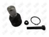 BA710 - BAW, ROTULA INFERIOR - Delantero Inferior -  -  -  -  -  -  -  -  - Mazda CX-50 2023-2024 // Mazda CX-9 2016-2023 //