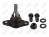 BA745-1 BA745 - BAW, ROTULA DELANTERO INFERIOR - Delantero Inferior - 1026019 - - - 9372011 - - - - - Volkswagen Crafter 2019-2022 //