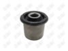BN542 - BAW, BUJE INFERIOR CHICO - Delantero Inferior Anterior - 1416024 -  -  - 6725014 -  - 60-342 -  - K201647 - Nissan Altima 2002-2006 // Nissan Maxima 2004-2008 // Nissan Murano 2003-2007 // Nissan Quest 2004-2009 // Renault Safrane 2009-2010