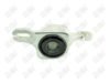 BN618 - BAW, BUJE INFERIOR GRANDE (L) - Delantero Inferior Posterior Izquierda - 1414013 -  -  - 6125013 -  - 40-569 -  -  - Mercedes-Benz GL Class 2007-2012 // Mercedes-Benz M Class 2006-2011