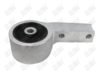 BN956 - BAW, BUJE INFERIOR GRANDE (R) - Delantero Inferior Posterior Derecha - 1409040 -  -  - 5025040 -  - 61-181 -  - K202039 - Acura MDX 2007-2013 // Acura ZDX 2010-2013 // Honda Pilot 2009-2015 //